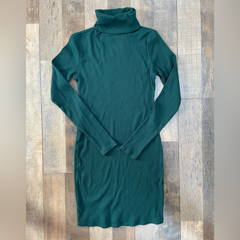 Wild Fable turtleneck dress